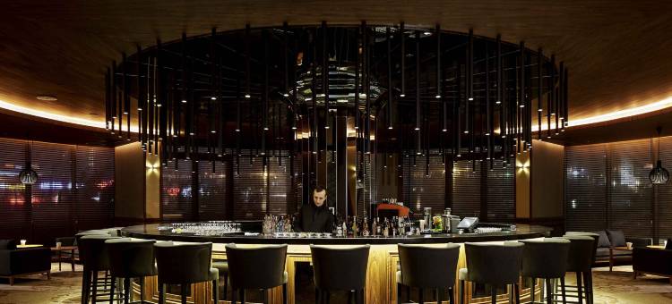 伊斯坦布尔铂尔曼酒店及会议中心(Pullman Istanbul Hotel & Convention Center)图片