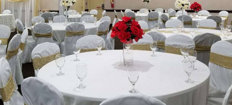 克拉丽奥套房酒店(Clarion Inn & Suites)图片