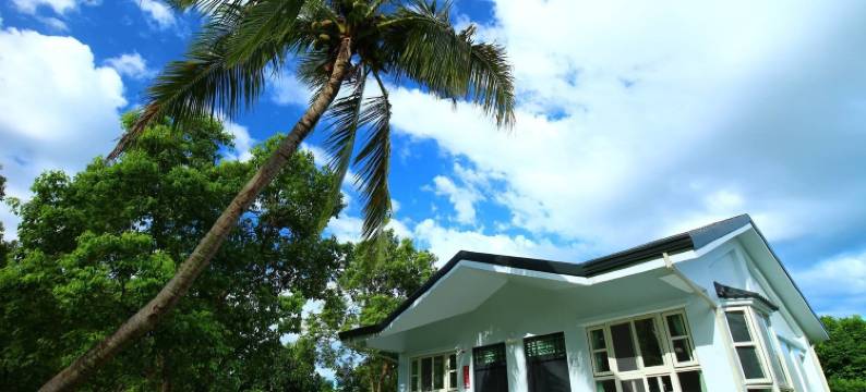 台东农场-寿丰会馆图片