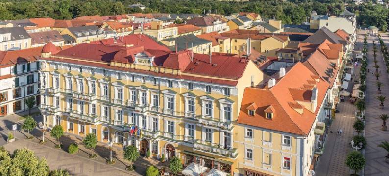 萨沃可豪泰Spa酒店(Savoy Spa & Kurhotel)图片