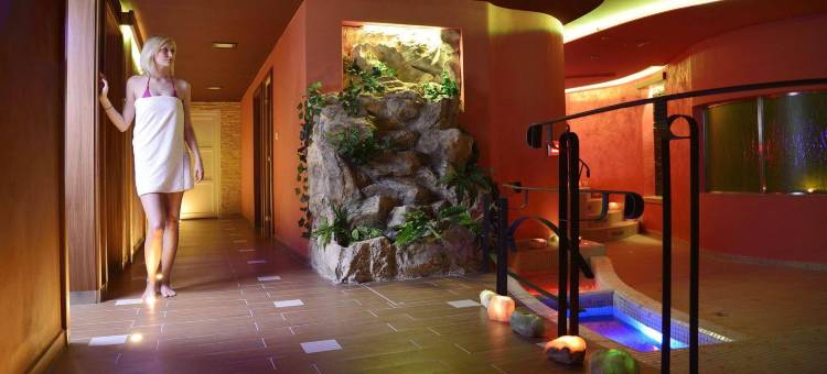 派勒萨特酒店(Hotel Palcat)图片