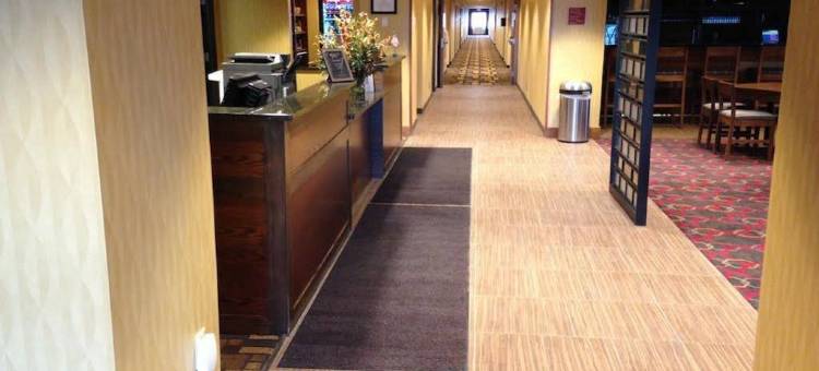 迈诺特索尼斯塔精品酒店(Sonesta Essential Minot)图片