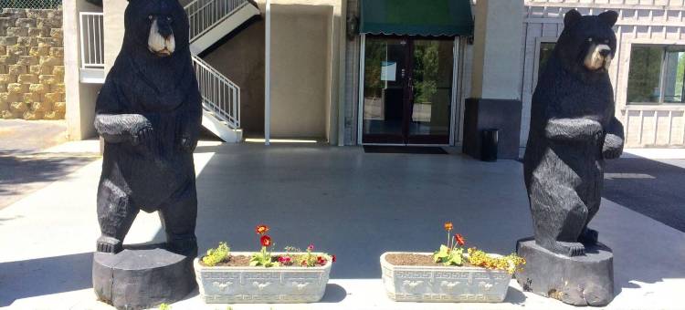 伊克诺旅馆韦恩斯维尔(Econo Lodge - Waynesville)图片