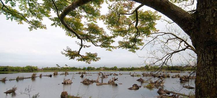 宜兰松风文旅图片