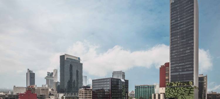 欧洲之星酒店(Eurostars Zona Rosa Suites)图片