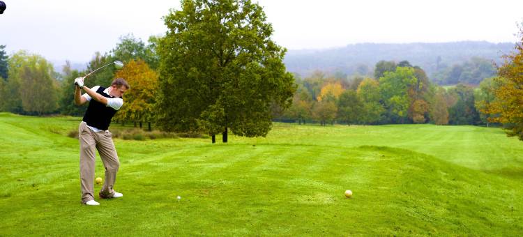 阿什当公园酒店(Ashdown Park Hotel)图片
