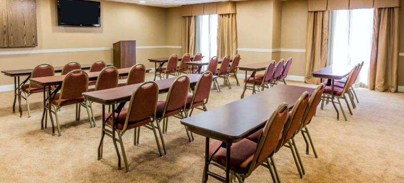 舒适套房酒店(Comfort Suites)图片