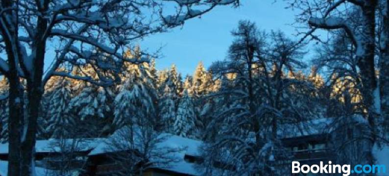 黑森林冷杉旅馆(Gasthof Schwarzwaldtanne)图片