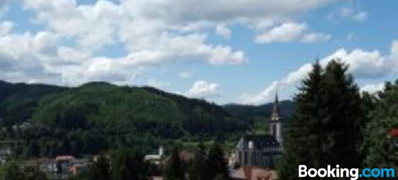 霍赫施瓦兹瓦德公寓(Hochschwarzwald Ferienwohnung)图片