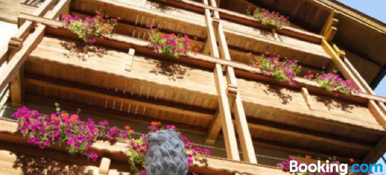 司汉膳食公寓酒店(Appart-Pension Seehang)图片