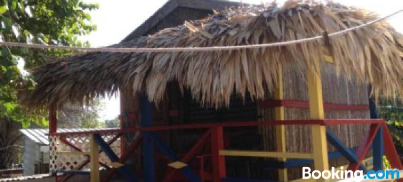 德利尔金刚鹦鹉宾馆(Scarlet Macaw at de Real Macaw)图片