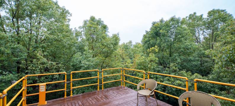 南京柜族部落·森林家民宿图片