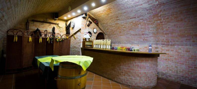 尤克劳馥酒店(Penzion U Kraliku)图片