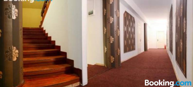 Pensiunea Happy Inn图片