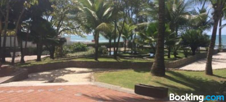 Mc Golden Flats图片