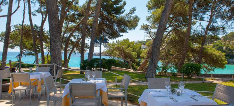 伊波罗之星海浪皮诺斯公园酒店(Iberostar Waves Pinos Park)图片