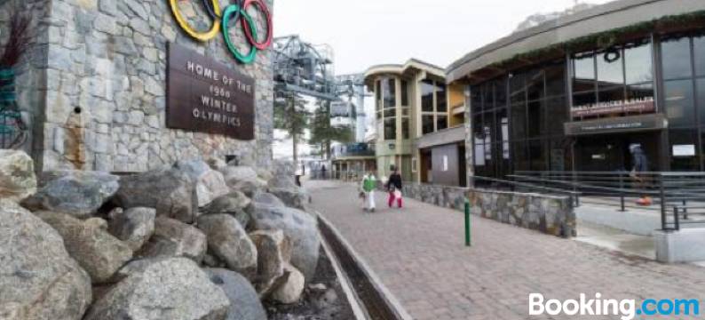 Squaw Valley Views Condo #15图片