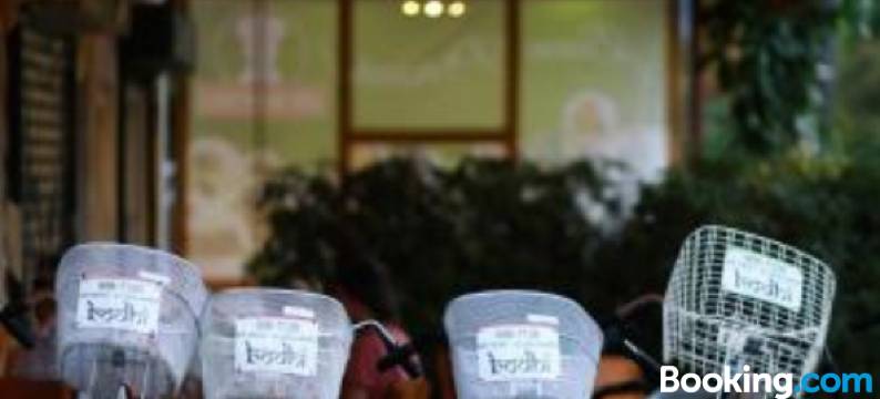 菩提酒廊旅馆(Bodhi El Valle)图片