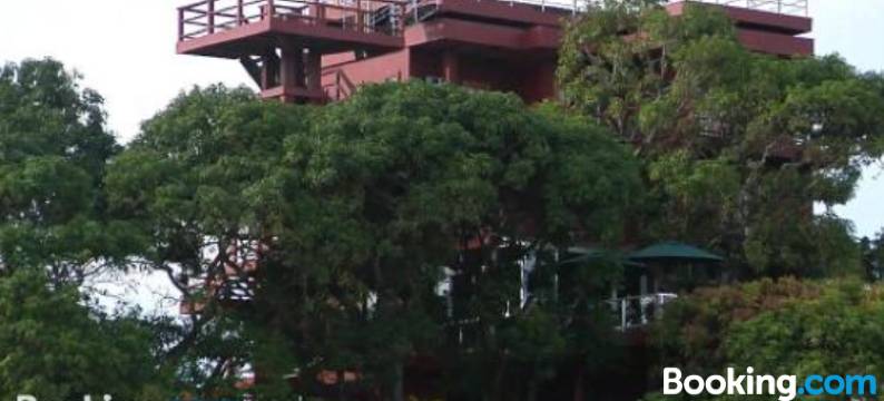 玛雅维斯塔酒店(Hotel Maya Vista)图片