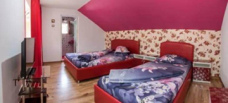 Pensiunea Mihaela-Transalpina图片