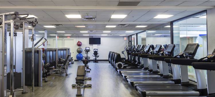 波士顿纽顿万豪酒店(Boston Marriott Newton)图片