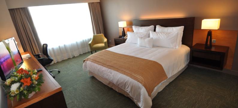 卡拉马 MDS 酒店(DoubleTree by Hilton Hotel Calama)图片