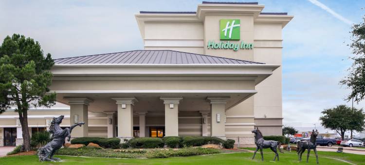 Holiday Inn 达拉斯理查森(Holiday Inn Dallas-Richardson)图片