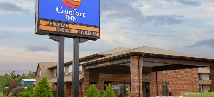 舒适酒店(Comfort Inn)图片