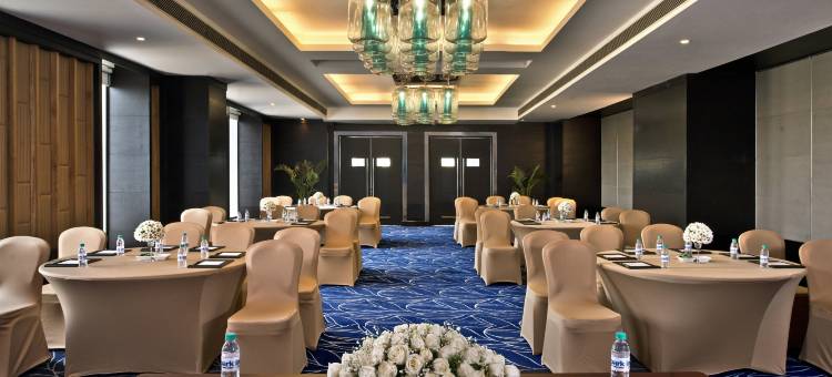 新德里 IP 扩展区丽柏酒店(Park Inn by Radisson New Delhi IP Extension)图片