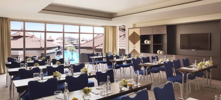  迪拜棕櫚島安納塔拉度假酒店(Anantara the Palm Dubai Resort)图片