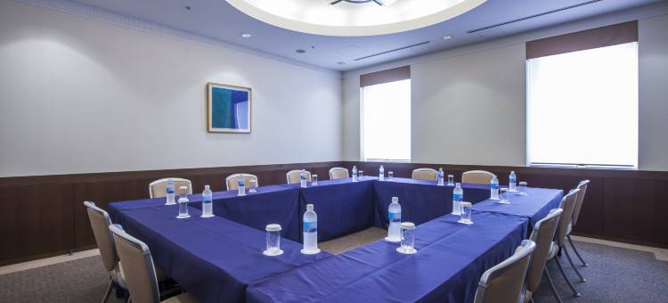 宫崎日航都市酒店(Hotel JAL City Miyazaki)图片