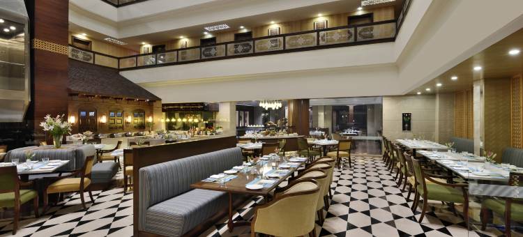 斯里纳格丽筠酒店(Radisson Srinagar)图片