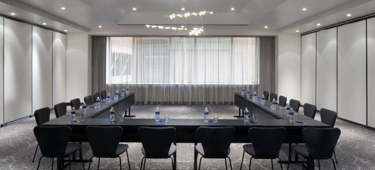 明尼阿波利斯市区皇家索尼斯塔酒店(The Royal Sonesta Minneapolis Downtown)图片