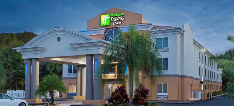 塔瓦雷斯智选假日酒店及套房(Holiday Inn Express & Suites Tavares - Leesburg)图片