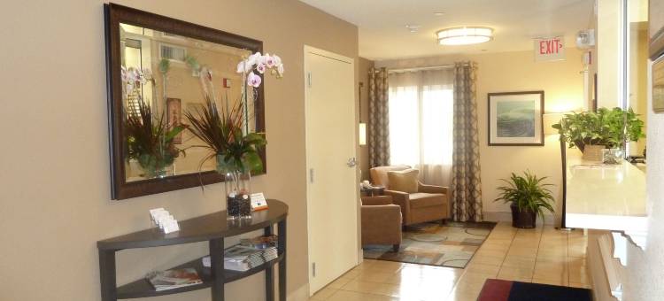 芝加哥利伯蒂维尔索尼斯塔简单套房酒店(Sonesta Simply Suites Chicago Libertyville)图片