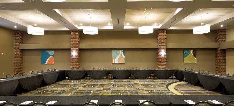 圣安东尼北-石橡树德鲁里广场酒店(Drury Plaza Hotel San Antonio North Stone Oak)图片