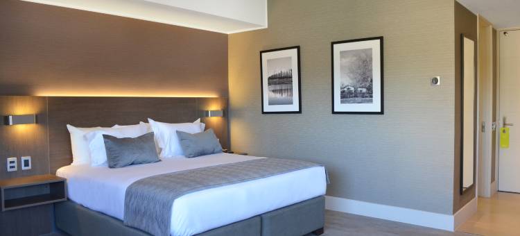 库里科丽笙酒店(Radisson Hotel Curico)图片