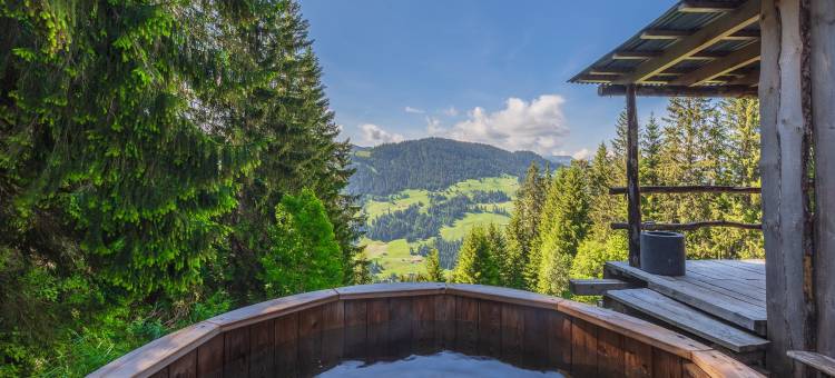 托普茨魏西门林德伯格瑞士阿尔卑斯山旅馆(Rinderberg Swiss Alpine Lodge)图片