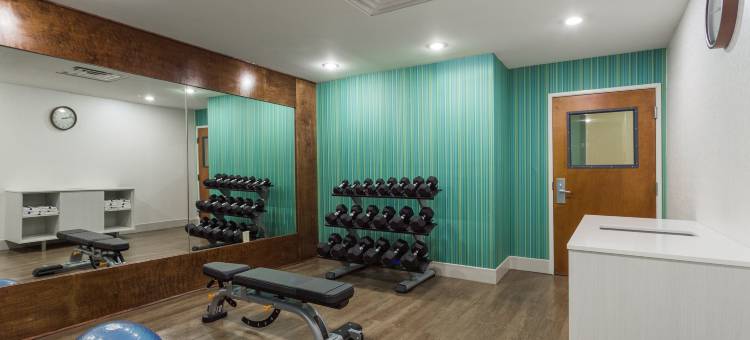 智选假日套房酒店圣彼得堡李堡(Holiday Inn Express & Suites Petersburg - Fort Gregg Adams)图片