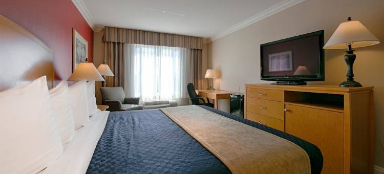 阿纳海姆橘郡贝斯特韦斯特优质酒店(Best Western Plus - Anaheim Orange County Hotel)图片