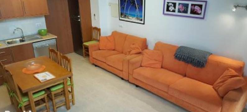 恩雅派公寓式酒店(Enginyapartaments)图片