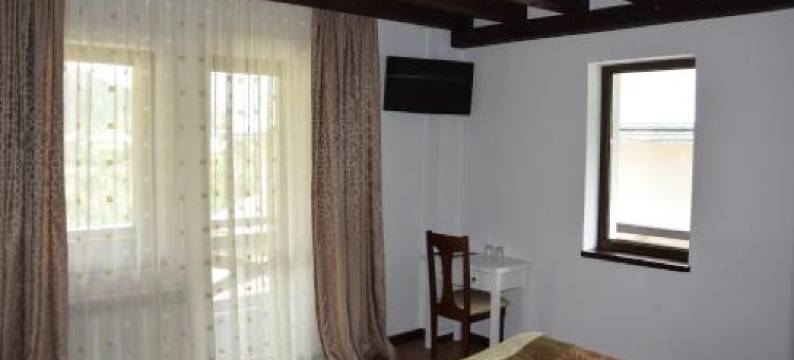 卡萨埃尔维拉旅馆(Pensiunea Casa Elvira)图片