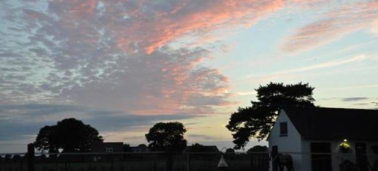 黑兹住宿加早餐旅馆(Heitse B&B en Vakantiewoning)图片