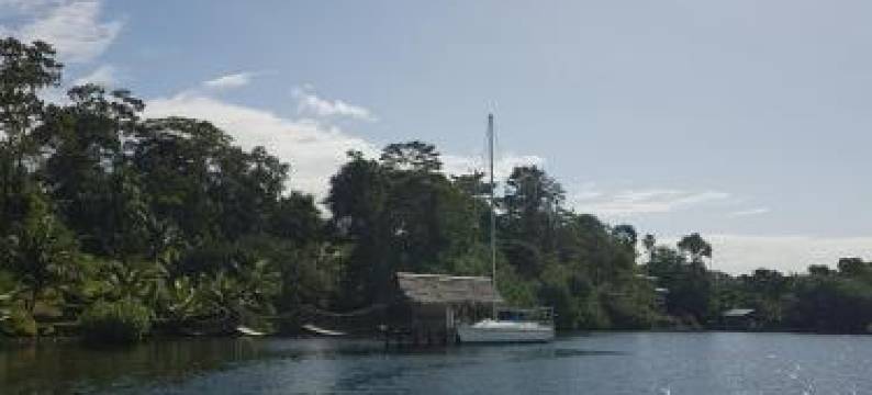 纳提洛奇山林小屋(Nathylodge)图片