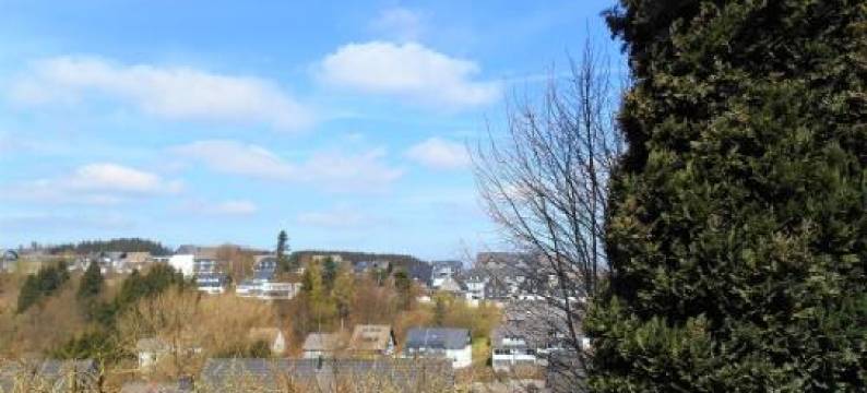 Apartment Blickfang Winterberg图片