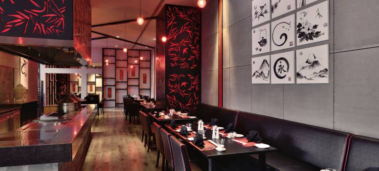 海得拉巴班加拉山丽笙世嘉酒店(Radisson Blu Plaza Hotel Hyderabad Banjara Hills)图片