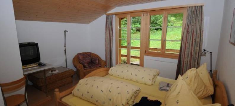 格林德瓦(Gletscherschlucht)图片