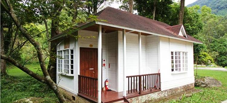 萱草森林乡村民宿图片