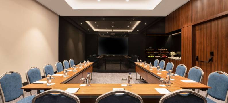 萨卡里亚丽笙蓝标酒店(Radisson Blu Hotel, Sakarya)图片