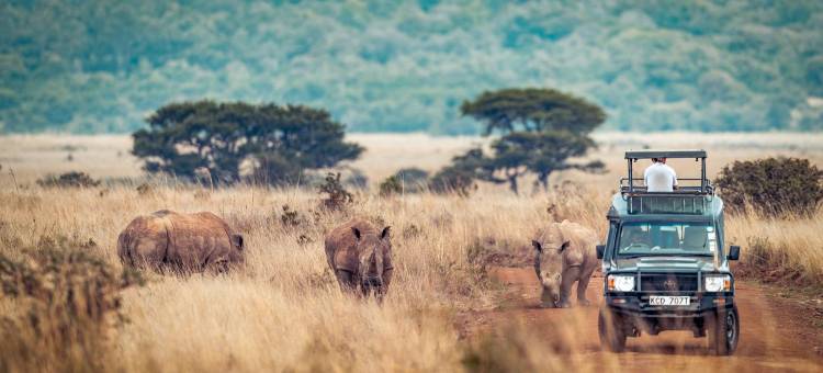 内罗毕上山区Radisson Blu酒店(Radisson Blu Hotel Nairobi, Upper Hill)图片